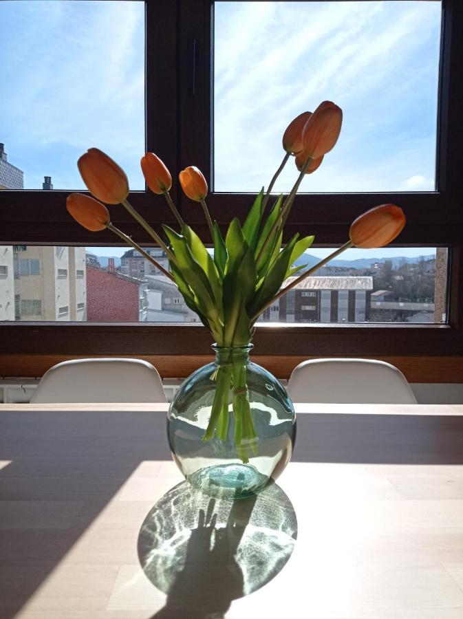Apartment Alfa *