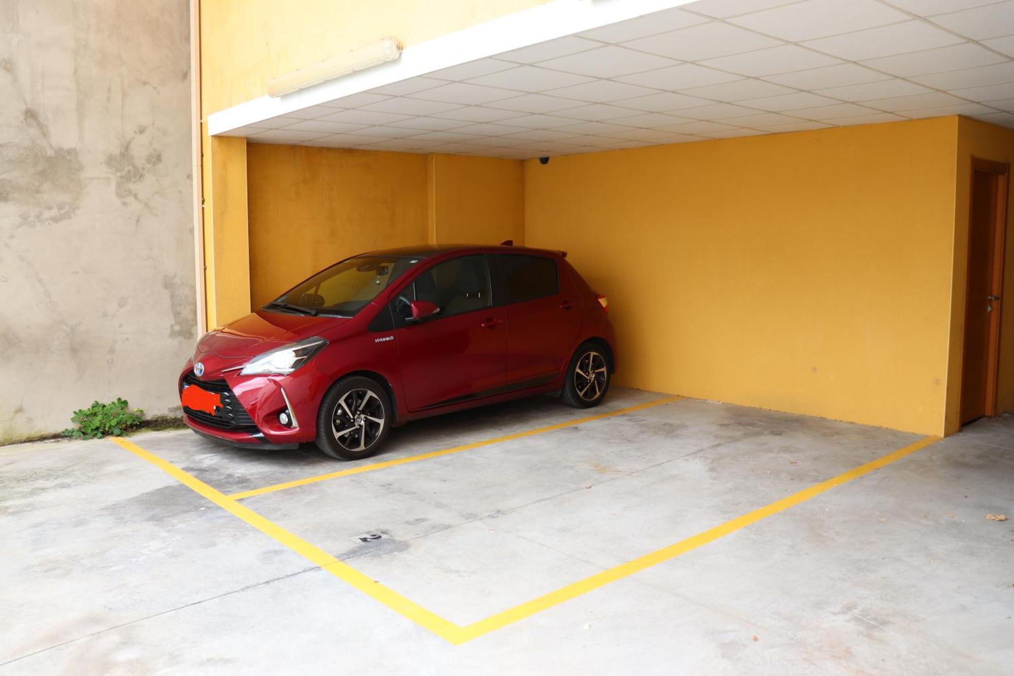 Apartment Alfa